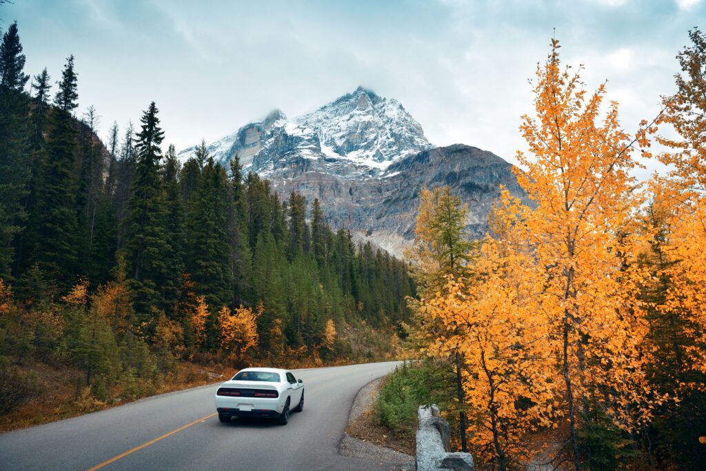 road trip